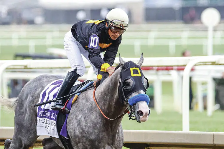 Napoleon Solo captures Preakness; top 3 did not run in Kentucky Derby