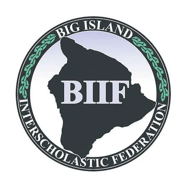 BIIF boys volleyball: Daggers, Wildcats, Trojans and Warriors fall at states