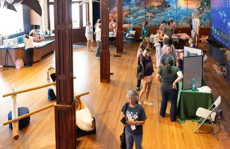 World Bee Day Hawaii event returns to Hilo