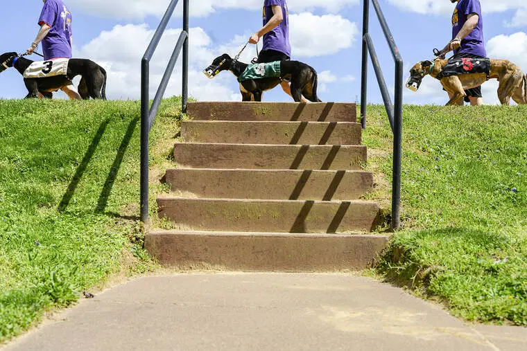 In a quiet corner of America, greyhound racing hangs on. For now.