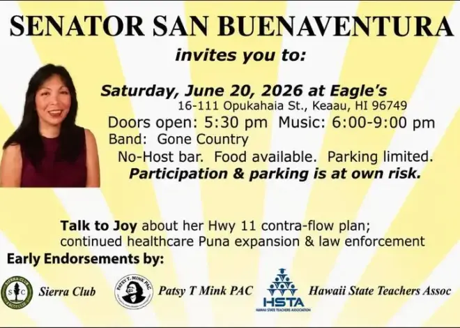 Puna lawmaker targeted in threatening social media post