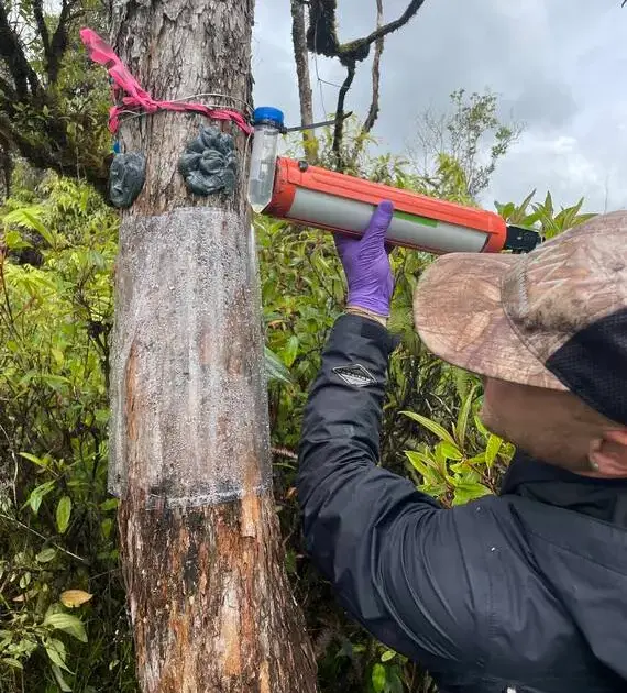 Fight against Rapid Ohia Death advances