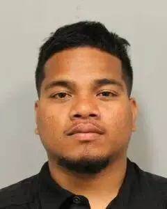 Ocean View man pleads not guilty in death of pedestrian
