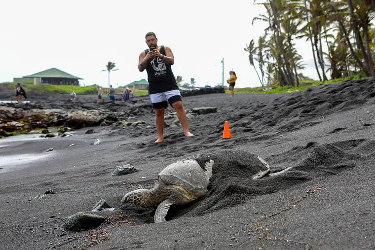Hawaii County in talks with owner of Punalu‘u Black Sand Beach Park