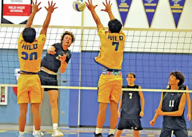 BIIF boys volleyball: Wildcats, Daggers, Cougars lead All-League selections