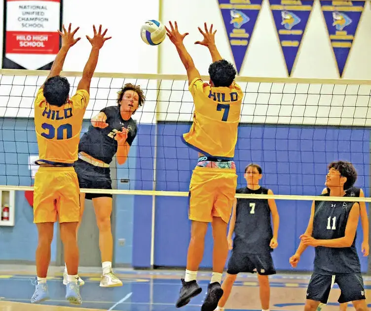 BIIF boys volleyball: Wildcats, Daggers, Cougars lead All-League selections
