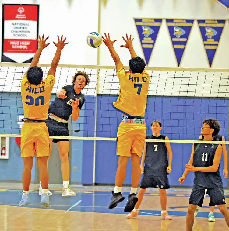BIIF boys volleyball: Wildcats, Daggers, Cougars lead All-League selections