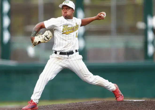 BIIF baseball: Napoleon-Umeda named Hawaii MaxPreps Player of the Year