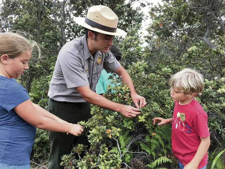 ‘They want to keep that sort of rustic experience’: Last public meeting on Kahuku Unit plan today in Naalehu