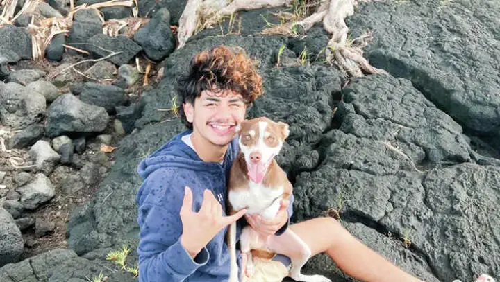 HPD, officer request dismissal of lawsuit involving dead teen