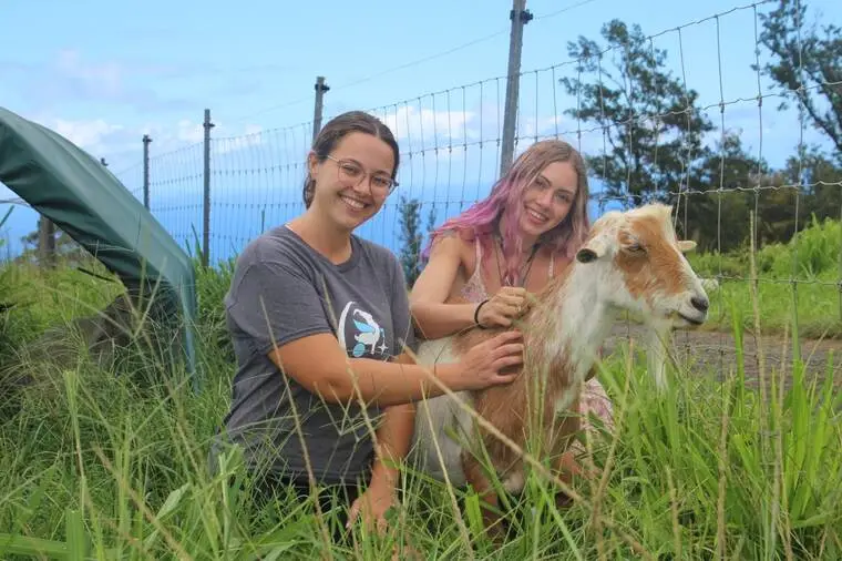 ‘There’s so much opportunity here’: Magical Creatures Sanctuary looks to develop community and educational programs