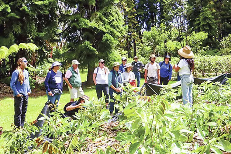 UH Forest Stewards program celebrates milestone