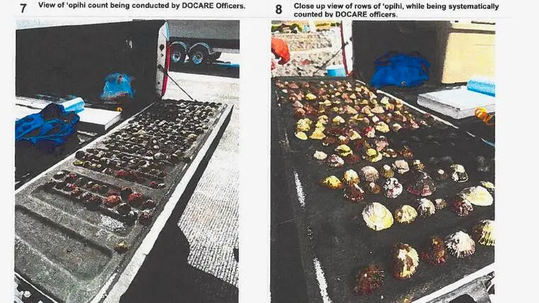 BLNR moves to settle $45,000 fine against men who took 4,000 opihi