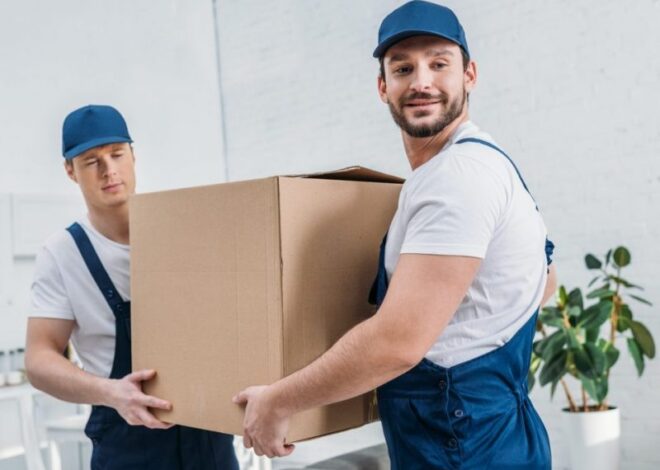 Nevada Movers: Reliable Moving and Business Storage Solutions Across the Silver State