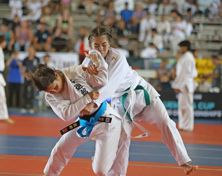 Annual Uemura Cup returns to Hilo; referee certification, special clinics offered