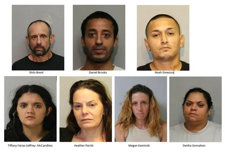 Seven nabbed in Big Island warrant sweep