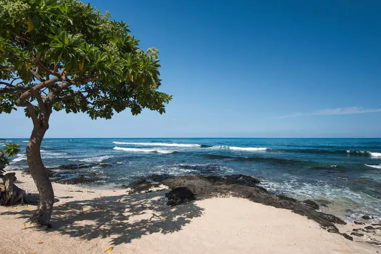 BLNR still trying to reach deal in opihi case