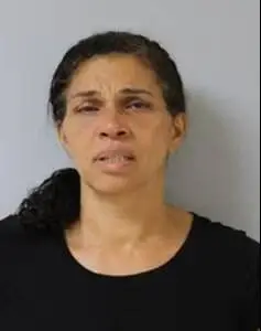 $1M bail maintained for Puna woman, 54, accused of trying to kill estranged husband